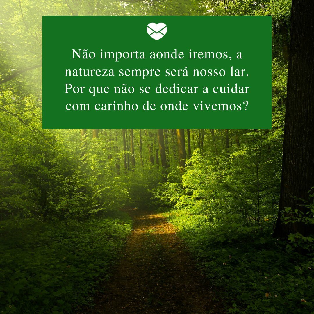 Frases sobre amar a natureza: seja grato pelo mundo
