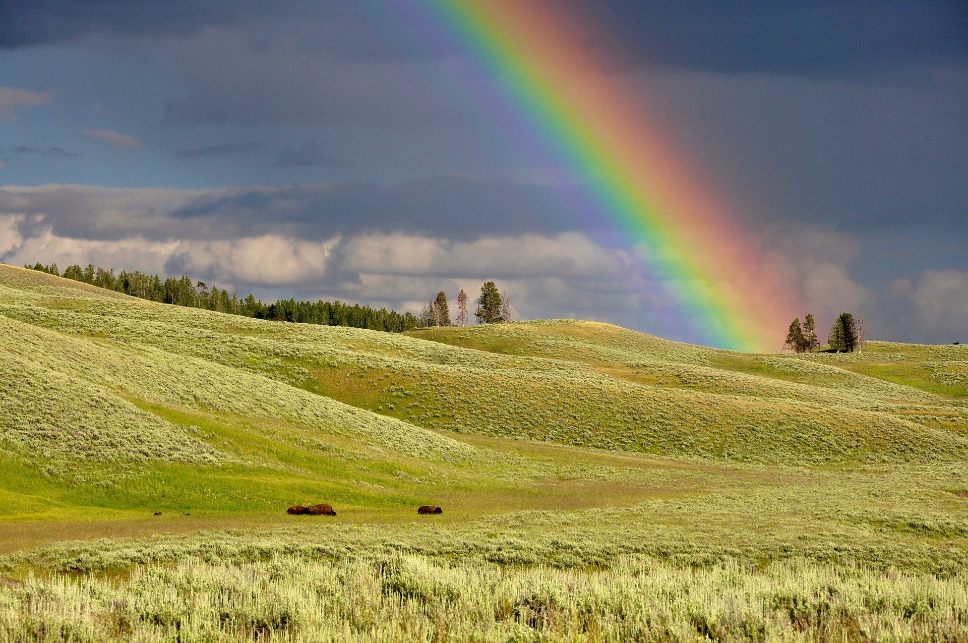 Foto de arco íris em paisagem.