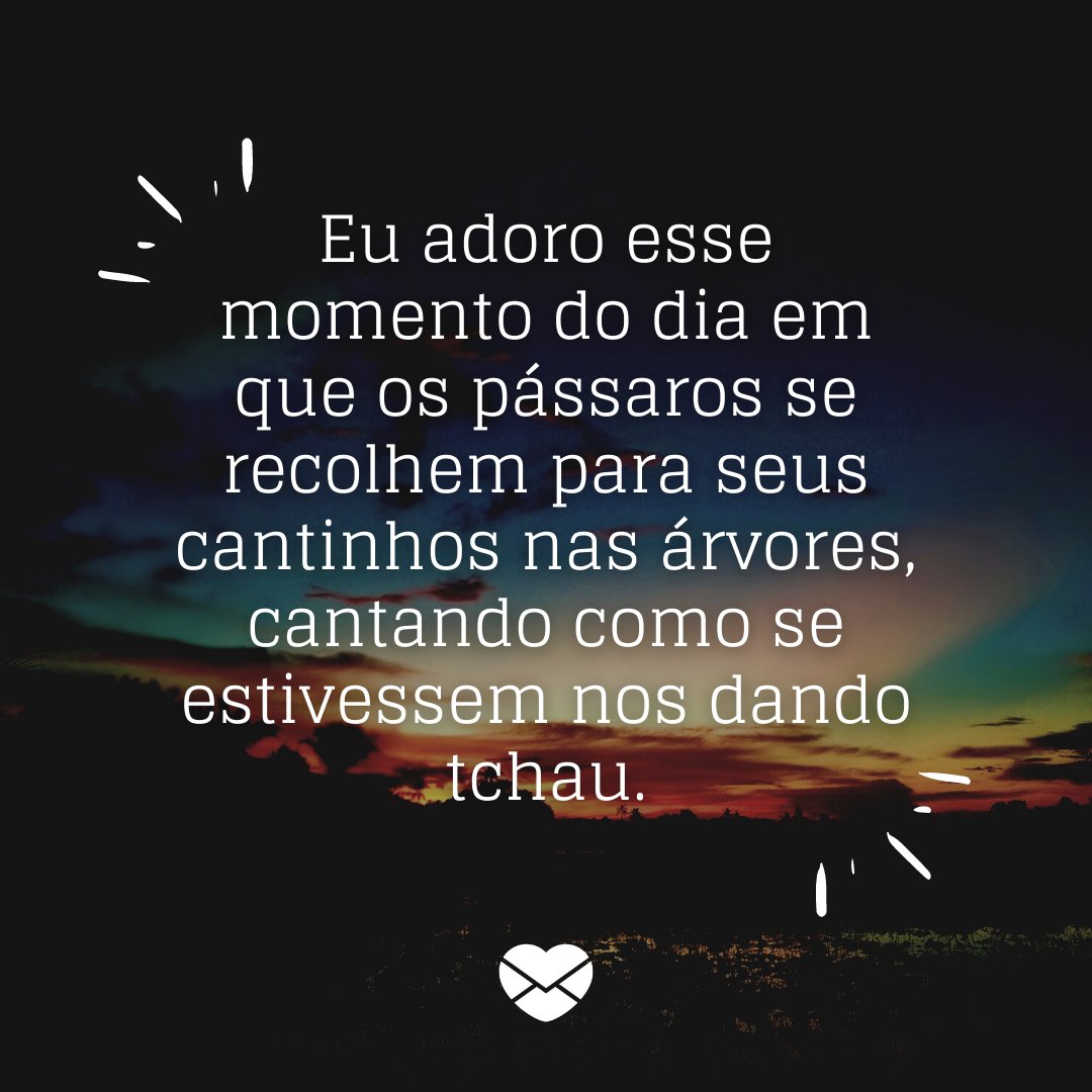 'Eu adoro esse momento do dia em que os pássaros se recolhem para seus cantinhos nas árvores, cantando como se estivessem nos dando tchau.' - Mensagens de Boa Tarde