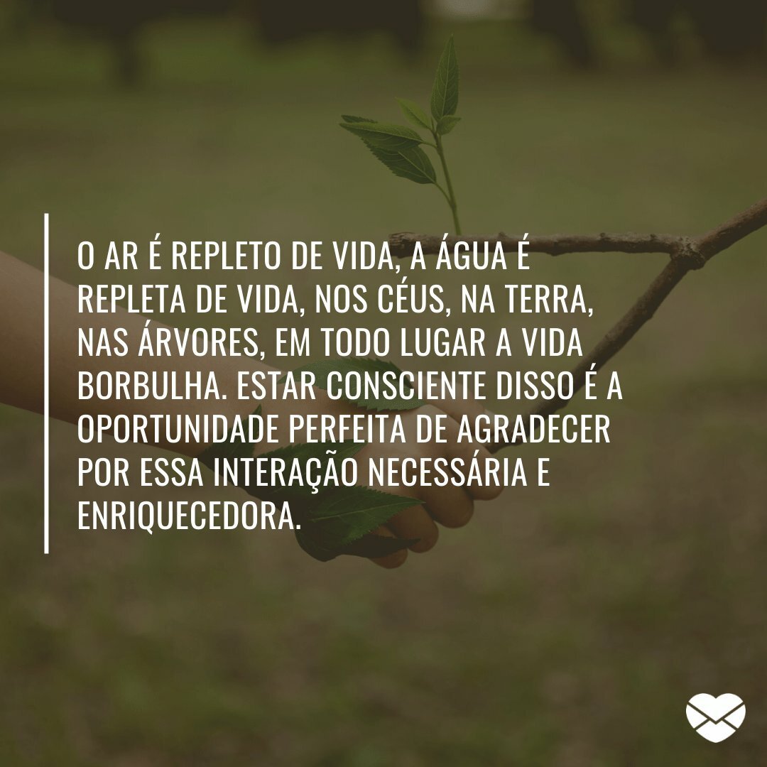 'O ar é repleto de vida, a água é repleta de vida, nos céus, na terra, nas árvores, em todo lugar a vida borbulha. Estar consciente disso é a oportunidade perfeita de agradecer por essa interação necessária e enriquecedora.' -  Pequenas coisas cotidianas para ser grato