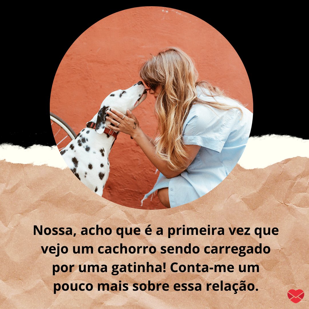 'Nossa, acho que é a primeira vez que vejo um cachorro sendo carregado por uma gatinha! Conta-me um pouco mais sobre essa relação.' - Cantadas para donas de pet.