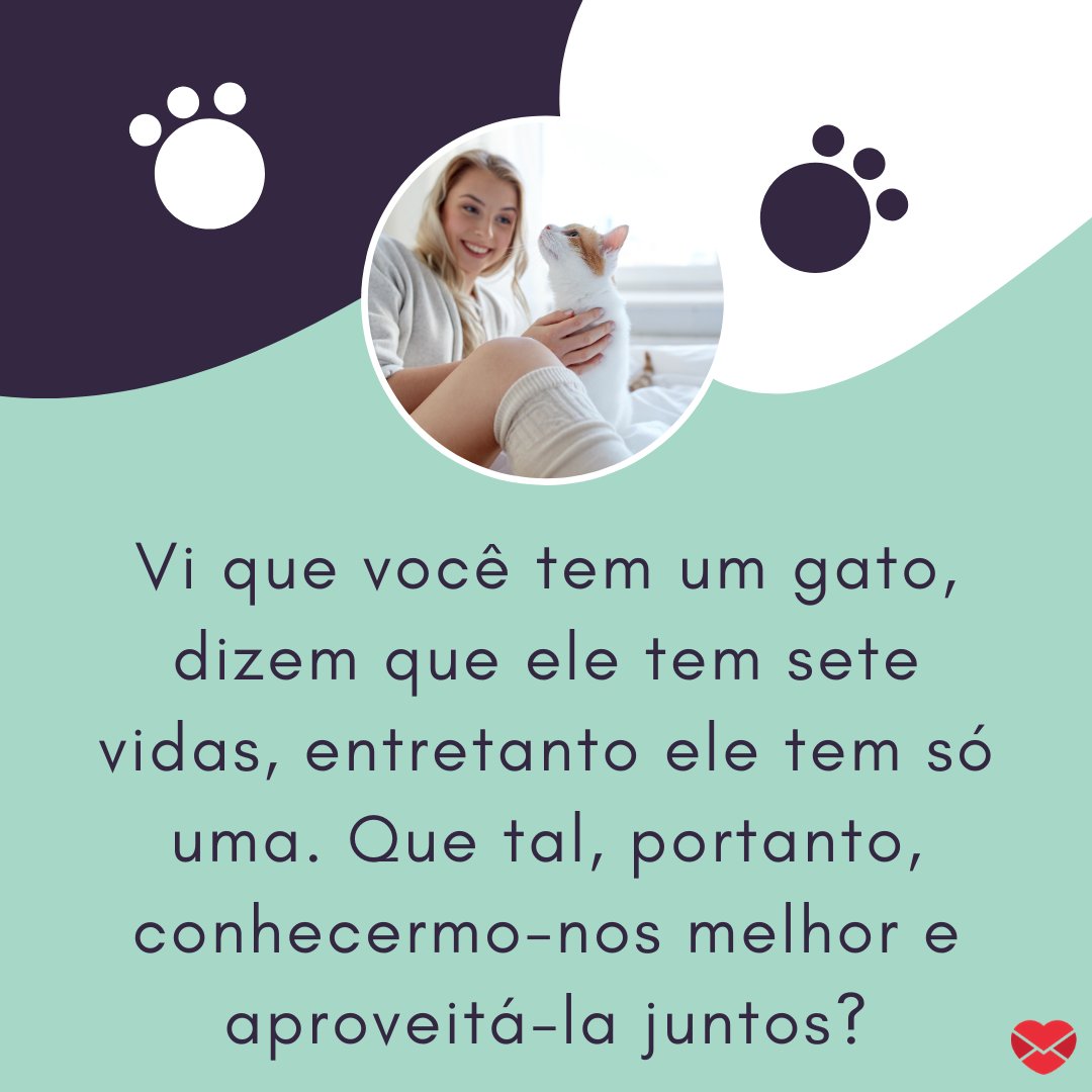 'Vi que você tem um gato, dizem que ele tem sete vidas, entretanto ele tem só uma. Que tal, portanto, conhecermo-nos melhor e aproveitá-la juntos?' -   Cantadas para donas de pet.