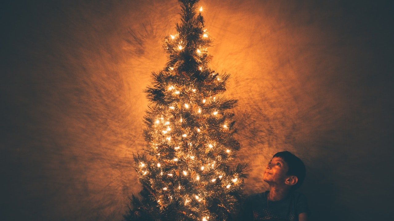 Criança sentada ao pé de uma árvore de Natal observa as luzes postas na decoração.