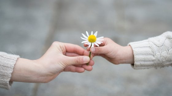 Pessoa entregando flor para outra pessoa
