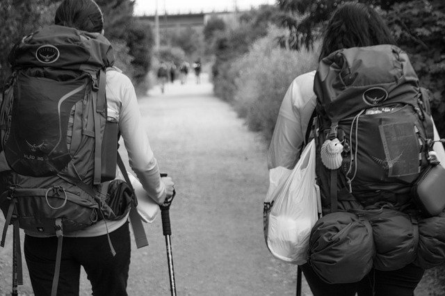 Duas pessoas com mochilas nas costas em trilha