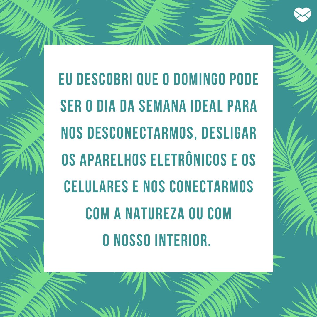 Conectar com a natureza - Um ótimo domingo! - Domingo Conectar com a natureza - Um ótimo domingo! - Domingo