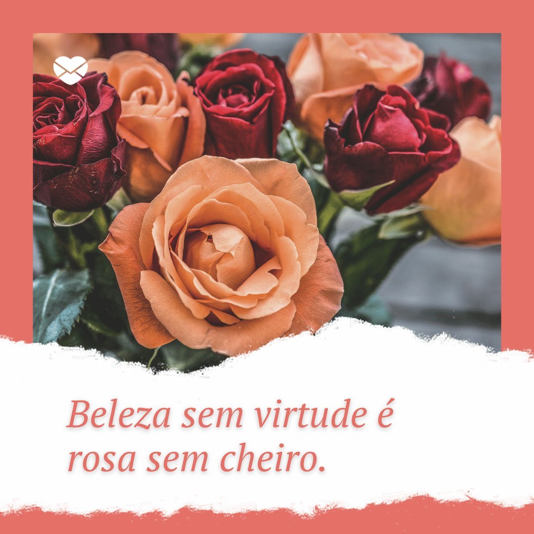 'Beleza sem virtude é rosa sem cheiro.' - Provérbios Brasileiros