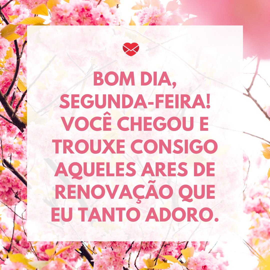 'Bom dia, segunda-feira! Você chegou e trouxe consigo aqueles ares de renovação que eu tanto adoro.' -  Bom dia segunda-feira