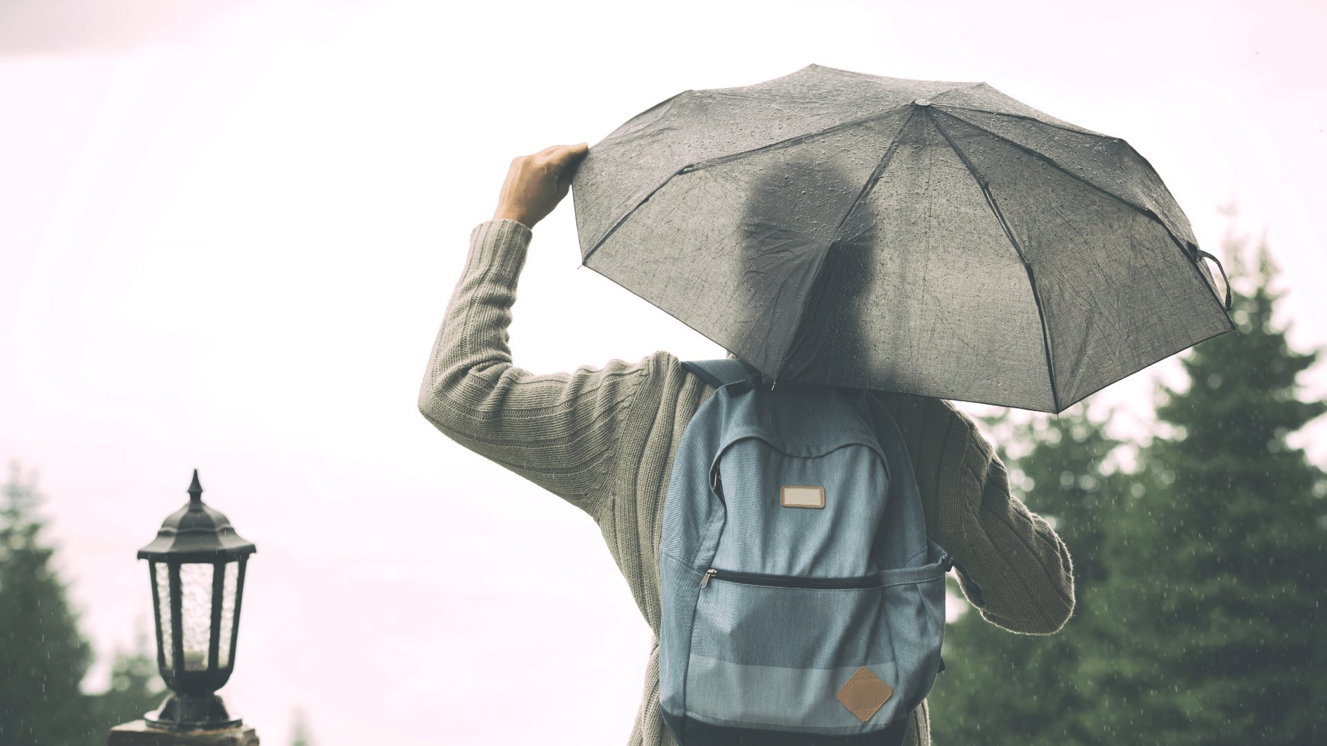 Homem de costas segurando um guarda-chuva olhando para a natureza