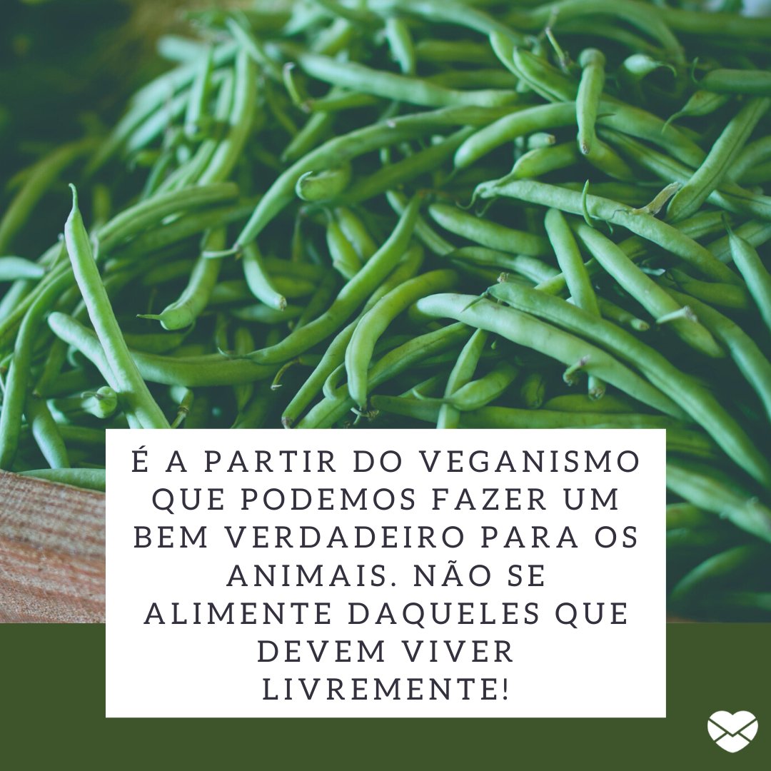 'É a partir do veganismo que podemos fazer um bem verdadeiro para os animais. Não se alimente daqueles que devem viver livremente!' - Frases para inspirar o bem.