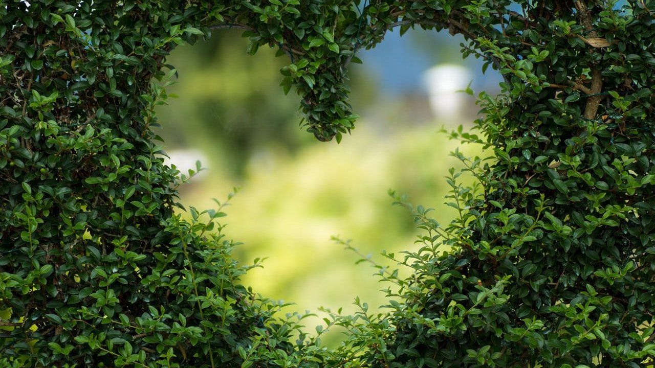 Formato de um coração no meio da jardinagem.