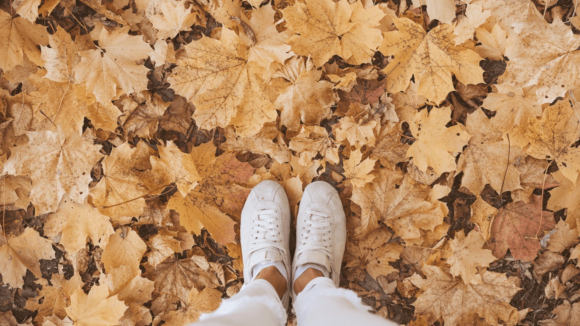 Pés de garota sobre folhas secas caídas no chão