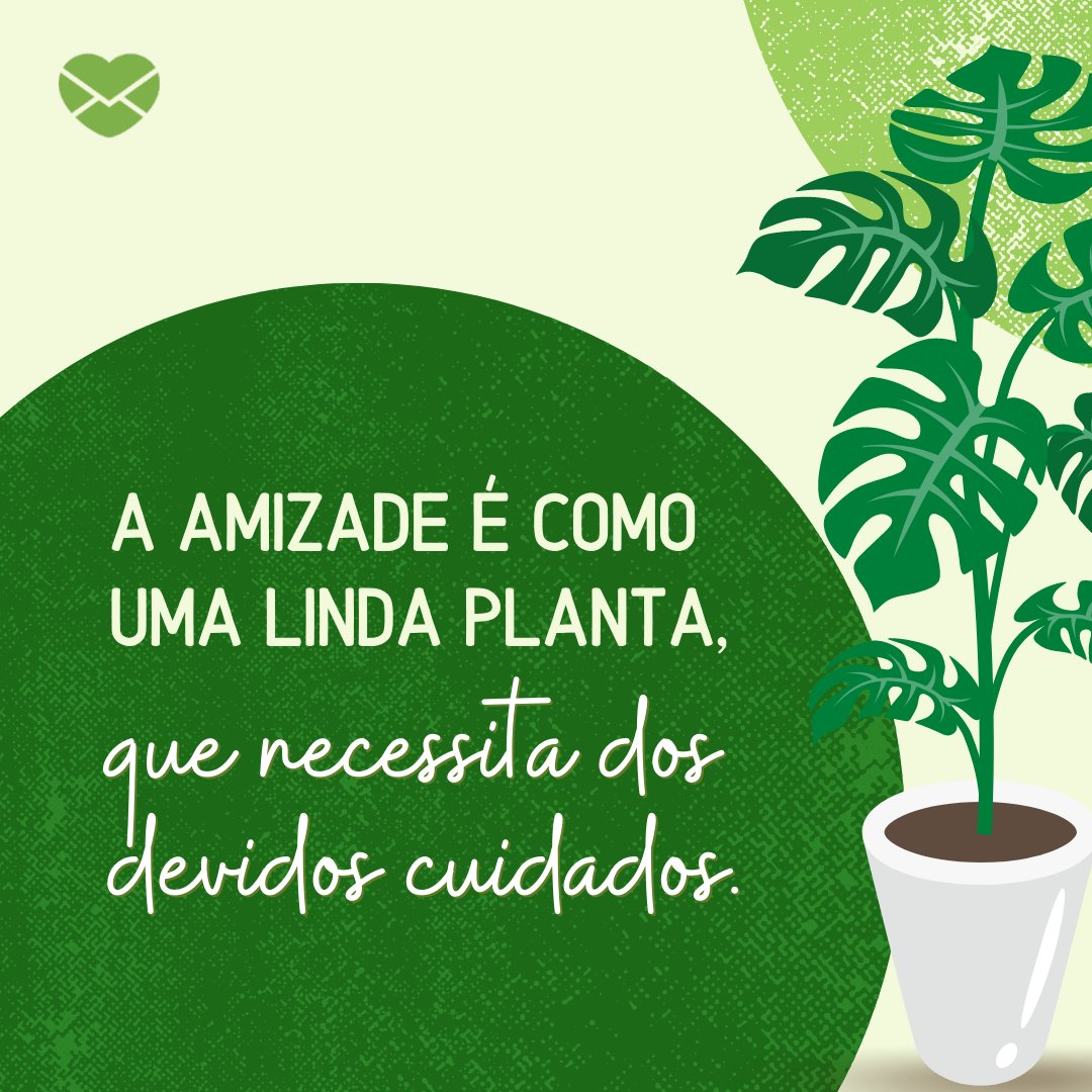 'A amizade é como uma linda planta, que necessita dos devidos cuidados.' - Mensagens de Amizade