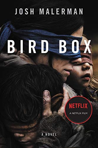 Pôster do filme Bird Box