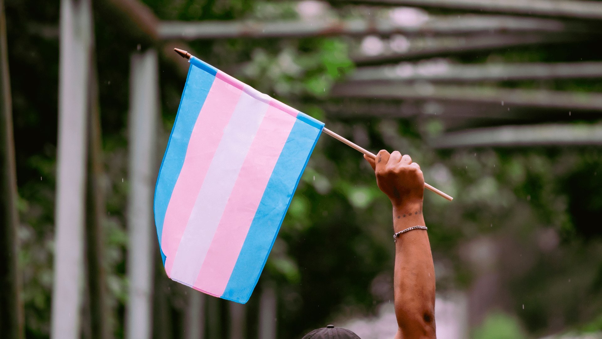 Braço de uma pessoa segurando a bandeira trans com o punho erguido