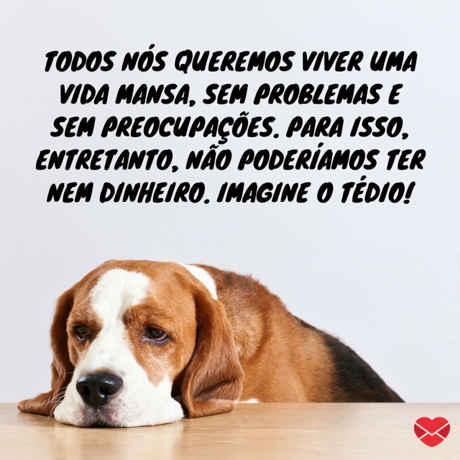Veja 10 frases de motivação engraçadas para alegrar seu dia