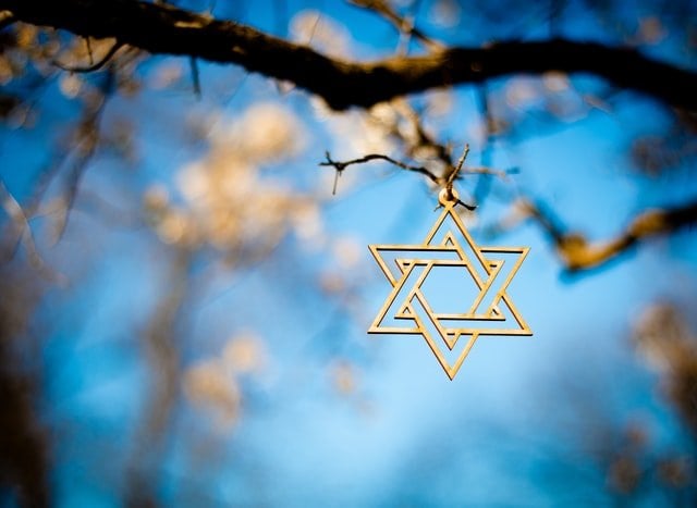 Estrela judaica em galho de árvore