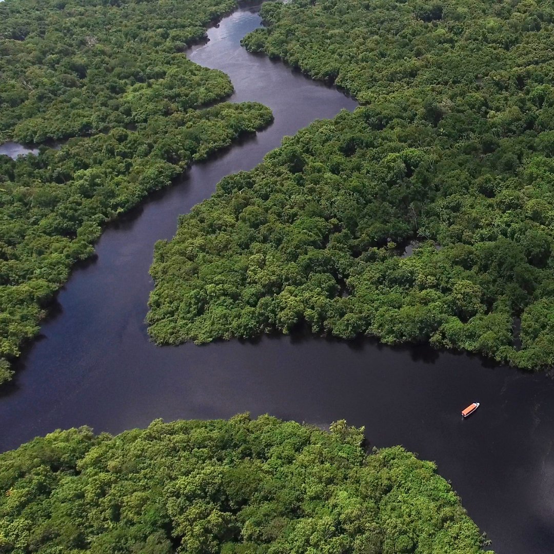 Fotos aéreas da floresta Amazônica