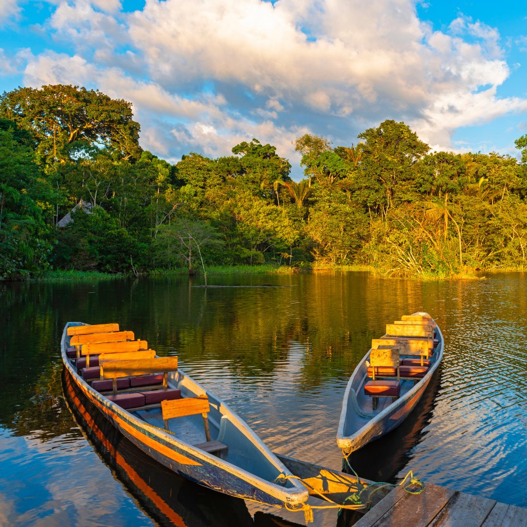 Fotos da floresta Amazônica e canoas na margem do rio