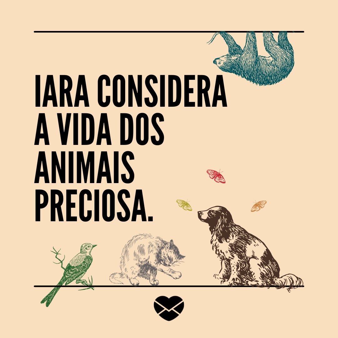 'Iara considera a vida dos animais preciosa' - Frases de Iara.