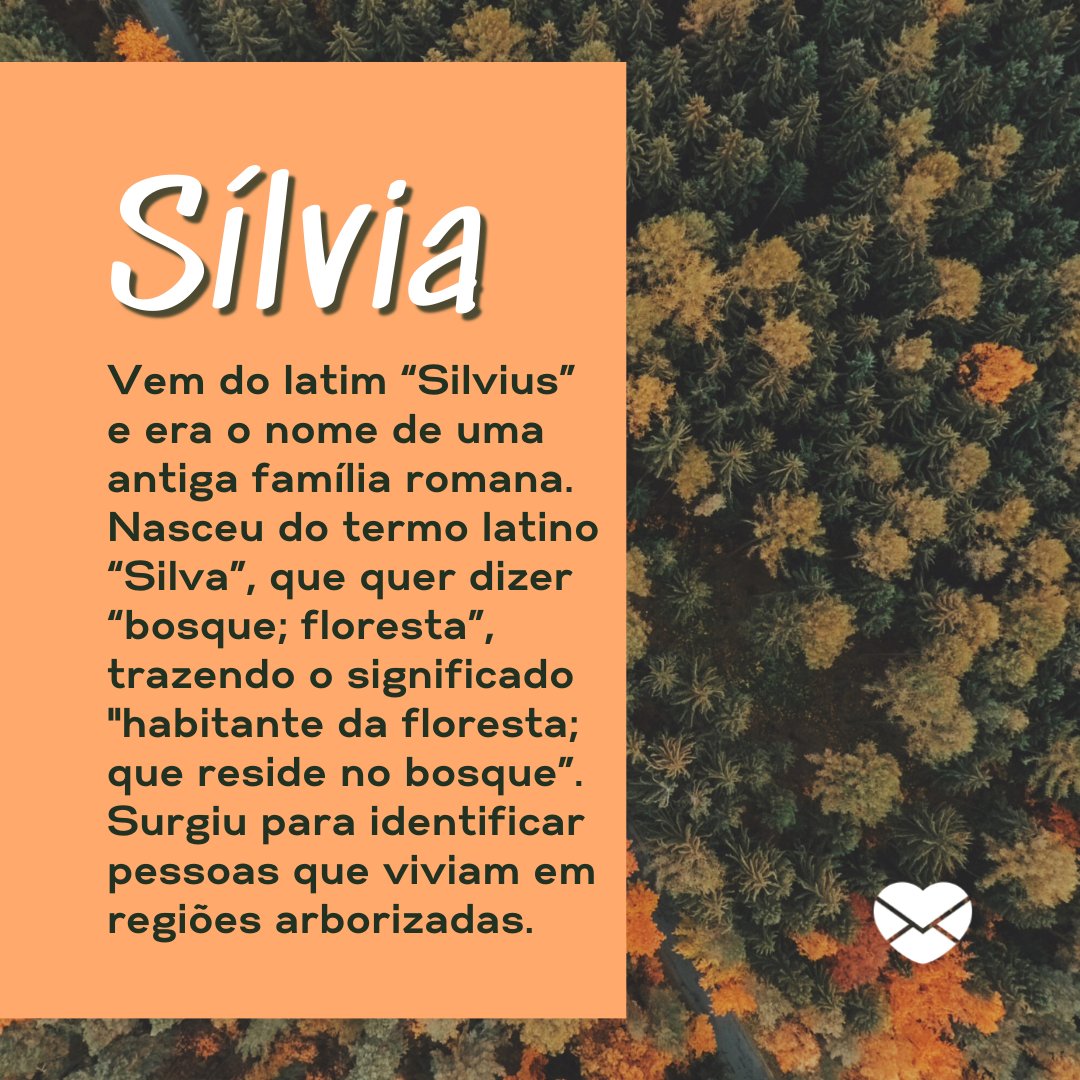 'Vem do latim “Silvius” e era o nome de uma antiga família romana. Nasceu do termo latino “Silva”, que quer dizer “bosque; floresta”, trazendo o significado 'habitante da floresta; que reside no bosque”. Surgiu para identificar pessoas que viviam em regiões arborizadas.' - Frases de Sílvia
