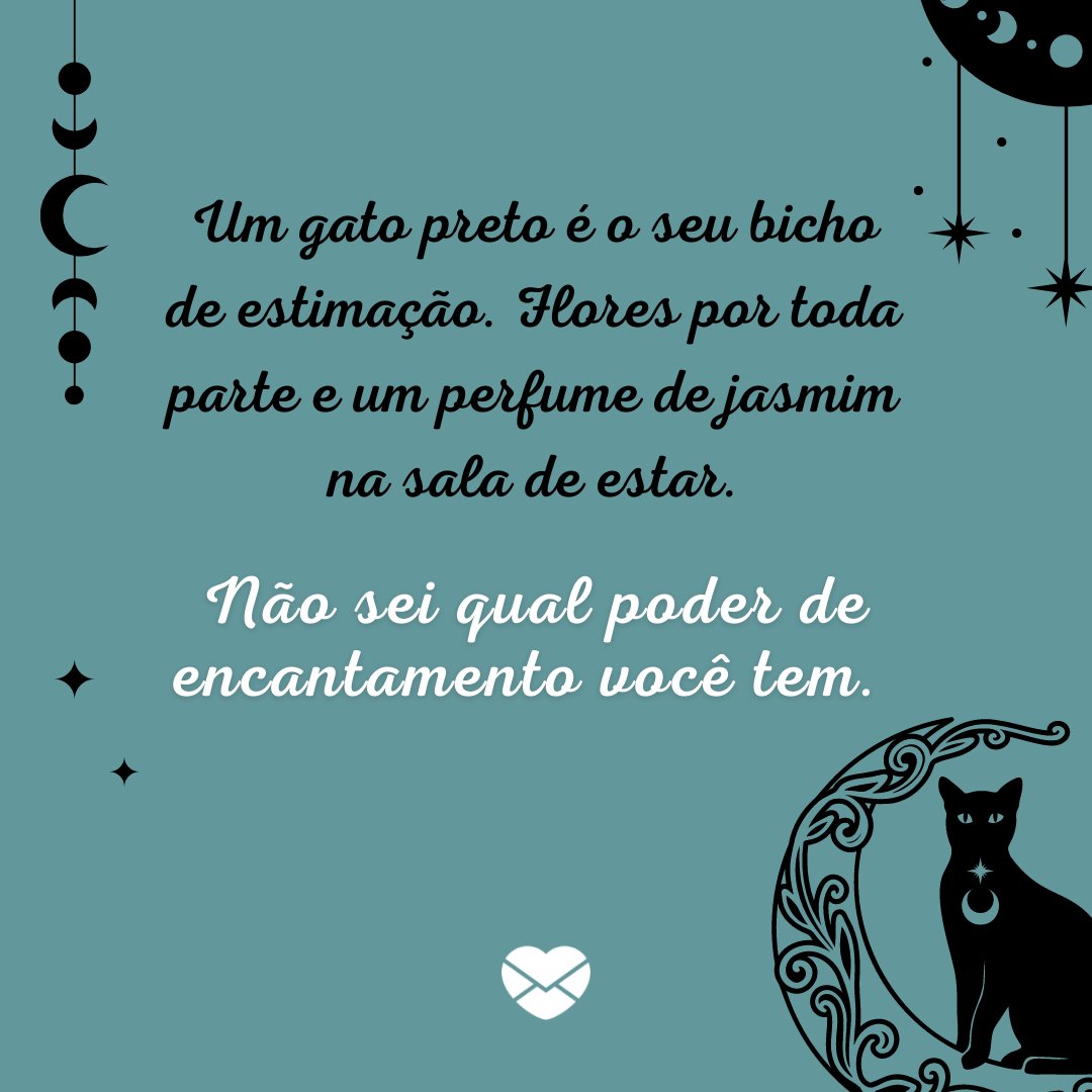 'Um gato preto é o seu bicho de estimação. Flores por toda parte e um perfume de jasmim na sala de estar.  Não sei qual poder de encantamento você tem.' - Ela é mística