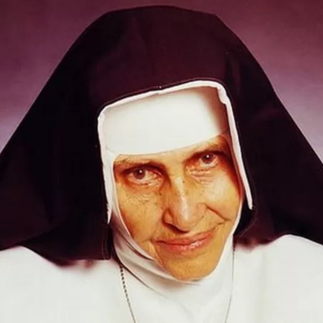 Imagem da Irmã Dulce, primeira santa brasileira