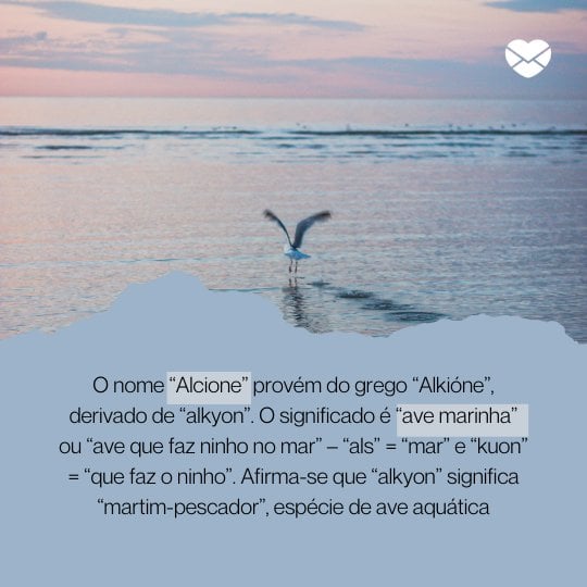 'O nome “Alcione” provém do grego “Alkióne”, derivado de “alkyon”. O significado é “ave marinha” ou “ave que faz ninho no mar” – “als” = “mar” e “kuon” = “que faz o ninho”. Afirma-se que “alkyon” significa “martim-pescador”, espécie de ave aquática.' - Frases de Alcione