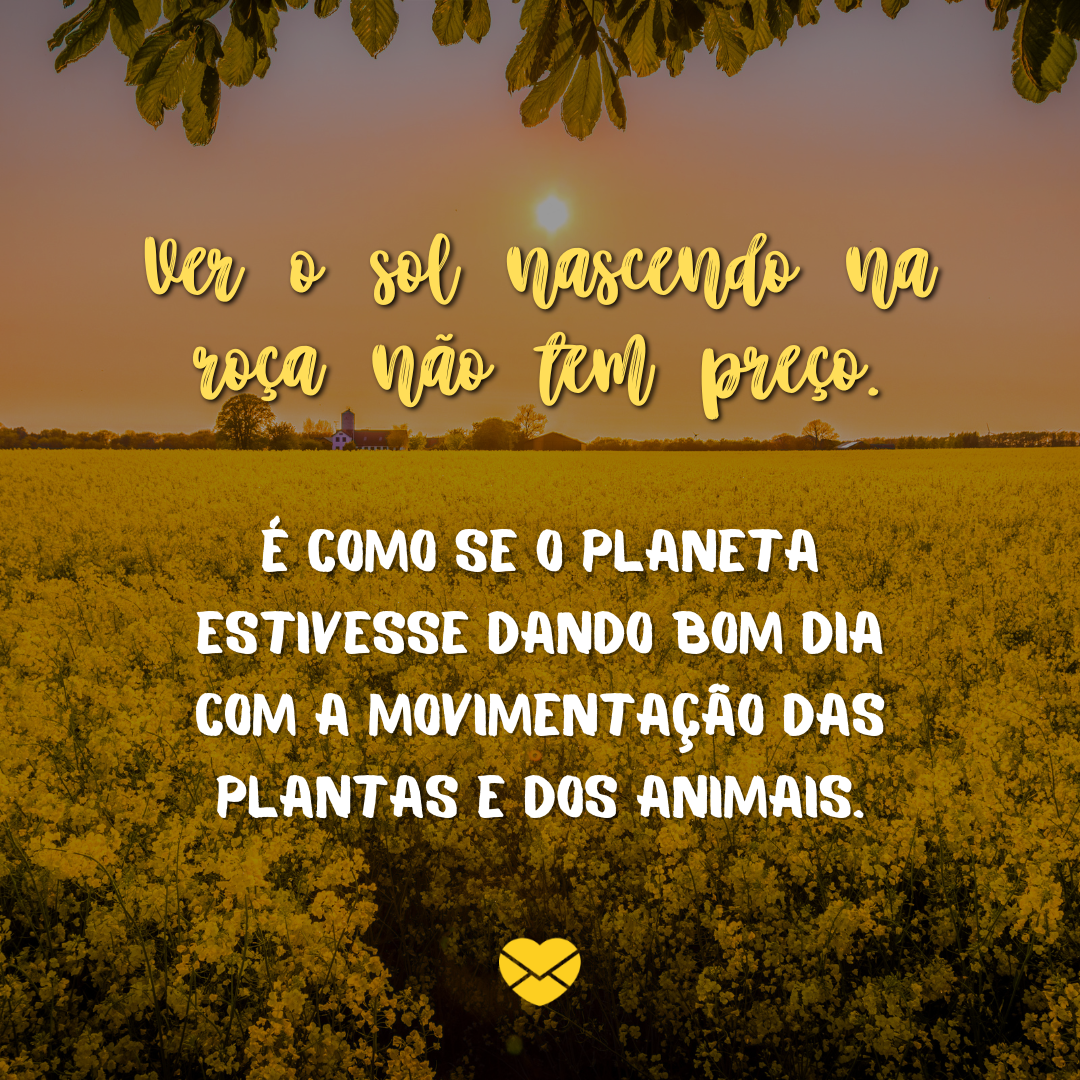 Bom dia na roça: celebre o amanhecer na natureza! Bom dia na roça: celebre o amanhecer na natureza!