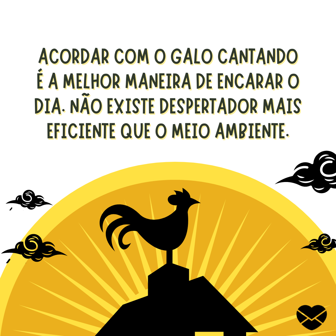 'Acordar com o galo cantando é a melhor maneira de encarar o dia. Não existe despertador mais eficiente que o meio ambiente.' - Bom dia na roça