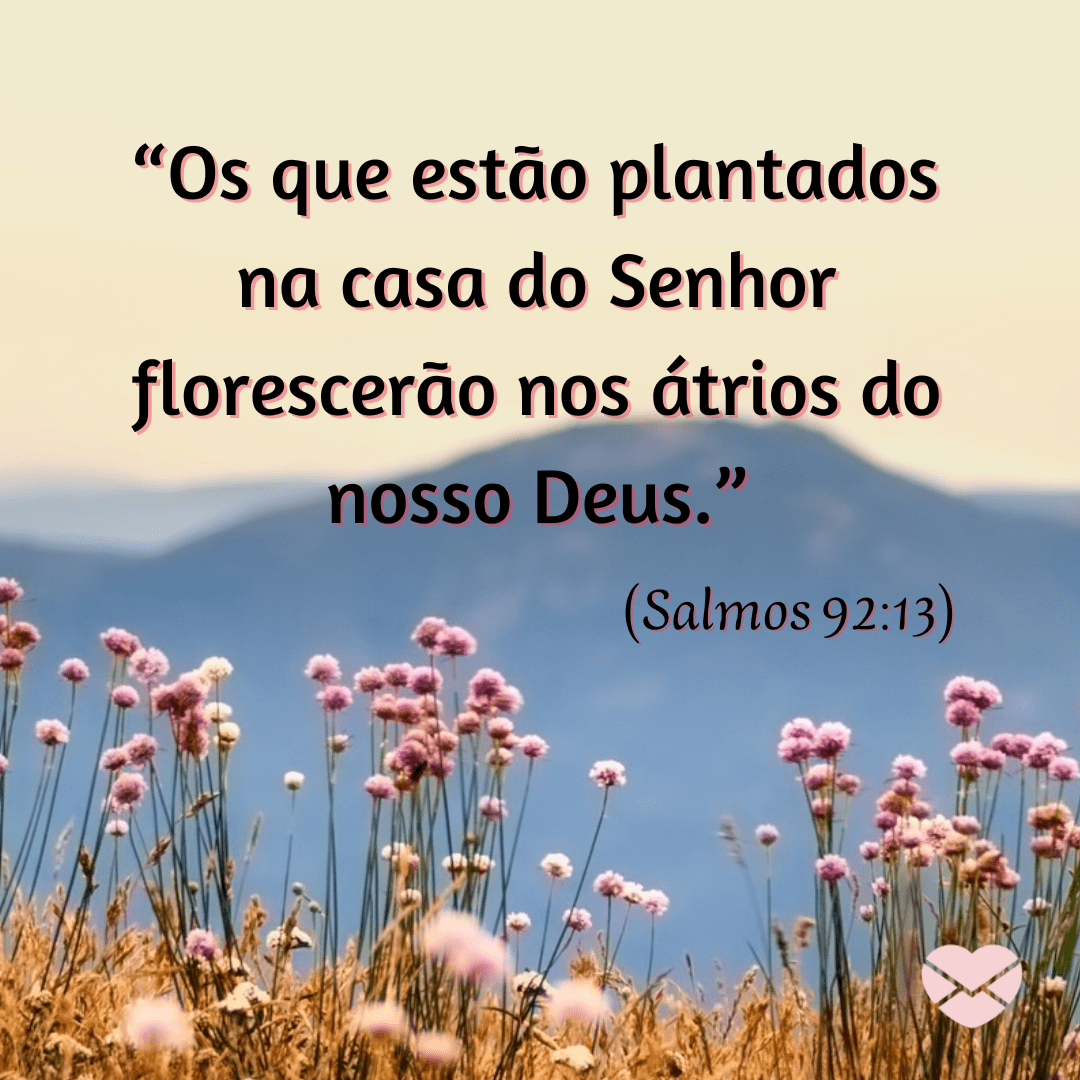 Vers culos Sobre Flores Para Desabrochar O Melhor Em Voc vers-culos-sobre-flores-para-desabrochar-o-melhor-em-voc