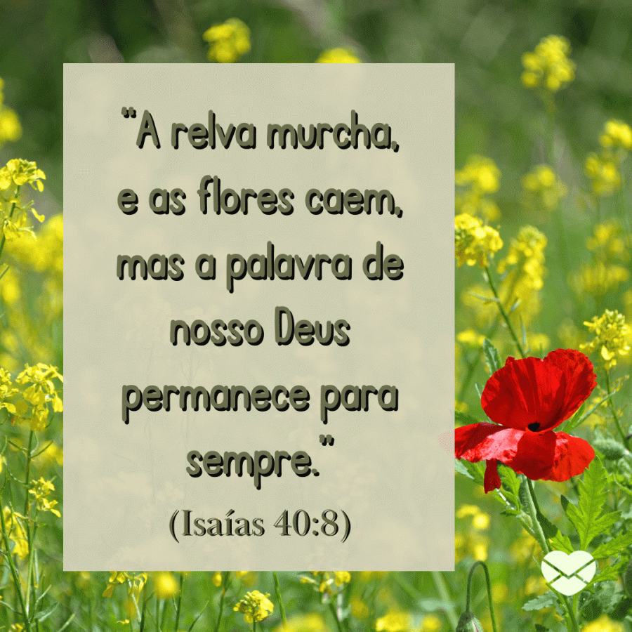 Versículos sobre flores — Para desabrochar o melhor em você