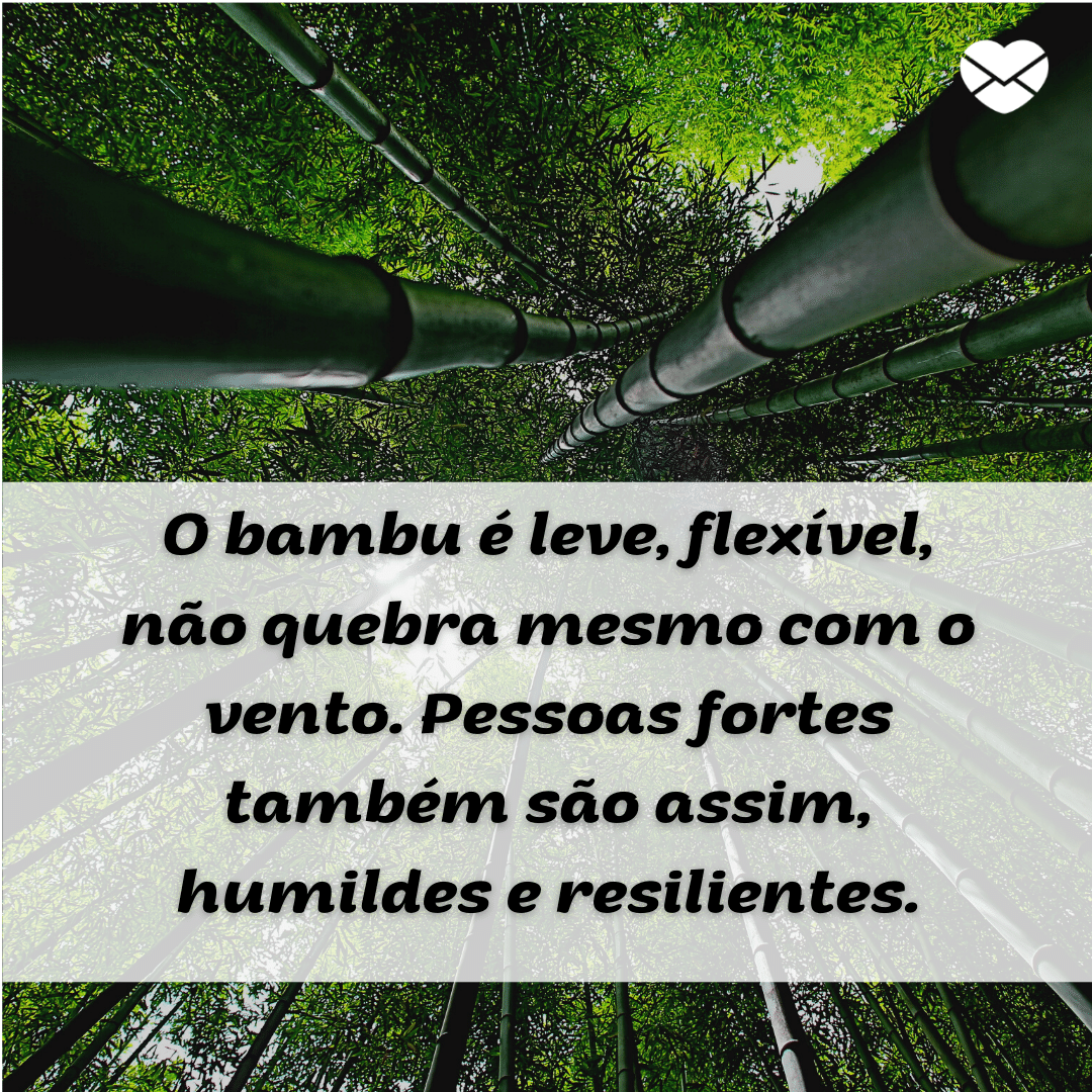 ''O bambu é leve, flexível, não quebra mesmo com o vento. Pessoas fortes também são assim, humildes e resilientes.'' /  Frases de pessoas fortes