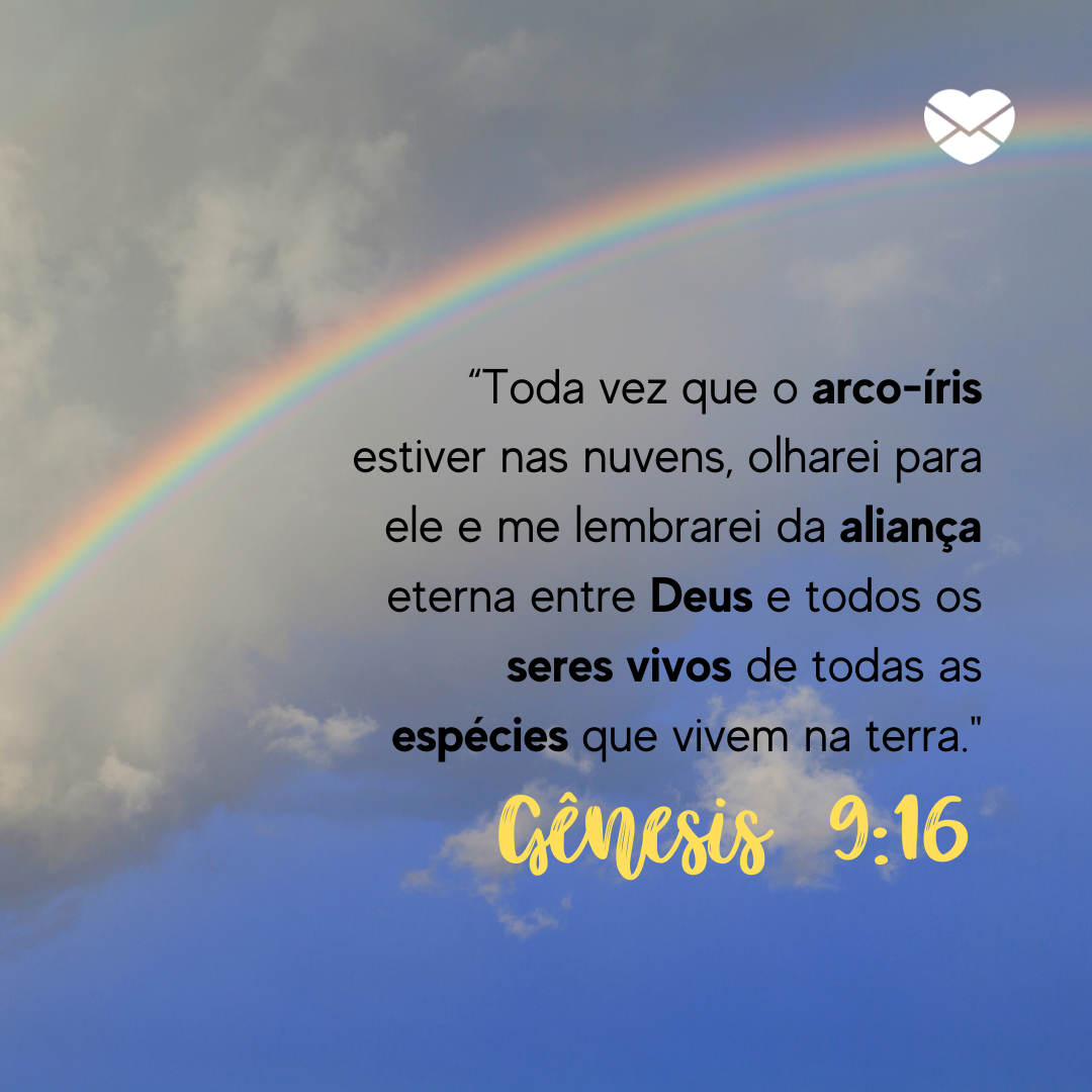'“Toda vez que o arco-íris estiver nas nuvens, olharei para ele e me lembra­rei da aliança eterna entre Deus e todos os seres vivos de todas as espécies que vivem na terra.' Gênesis 9:16'