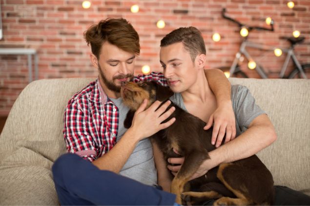 Casal gay sentado no sofá com o cachorro no colo lambendo um deles