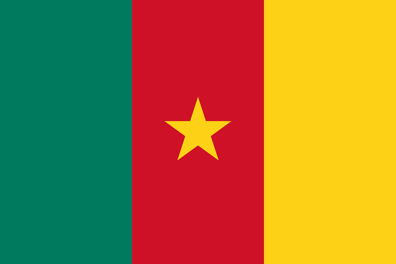 Bandeira do Camarões - Significado das Bandeiras dos Países