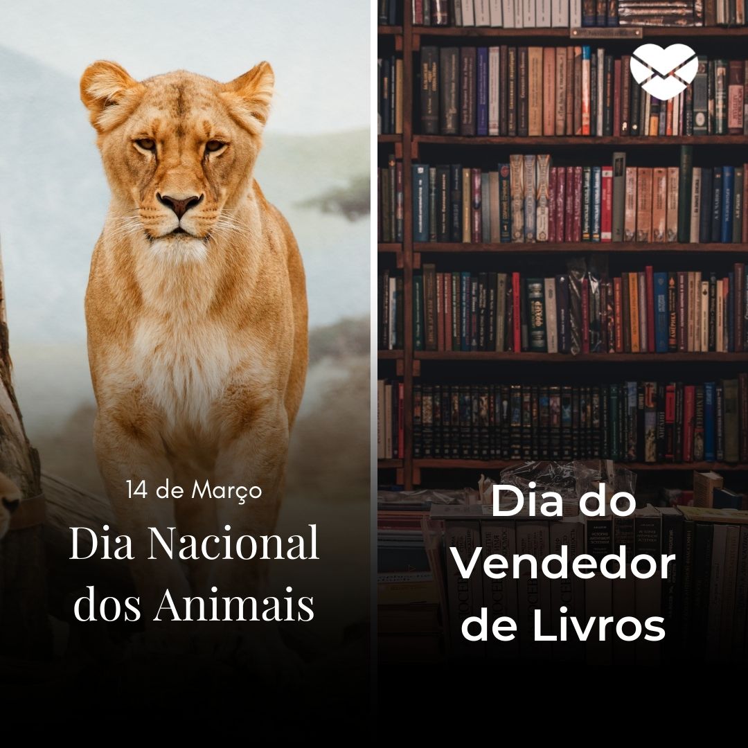 'Dia Nacional dos animais e dia do vendedor de livros'
