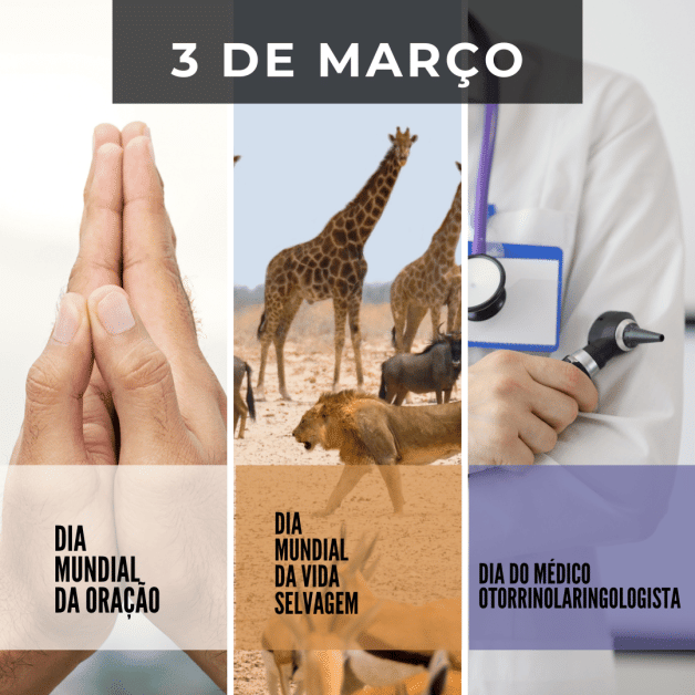 O que se comemora no dia 3 de março?