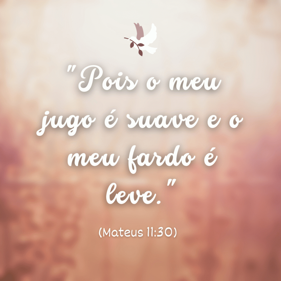 Versículos para biografia do Instagram. Transmita sua fé!