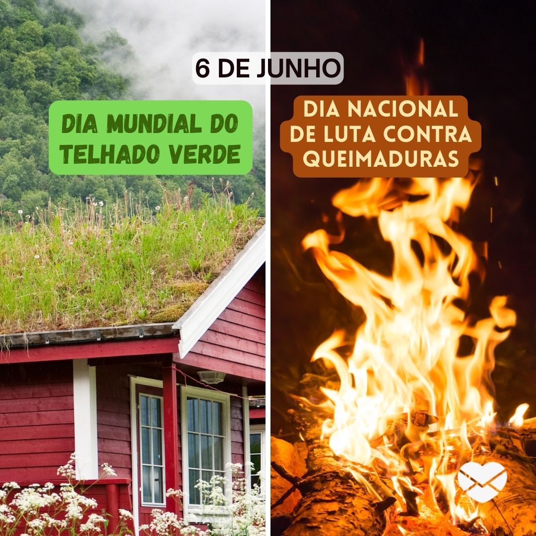 '6 de junho
Dia Mundial do Telhado Verde, Dia Nacional de Luta Contra Queimaduras' - 6 de junho