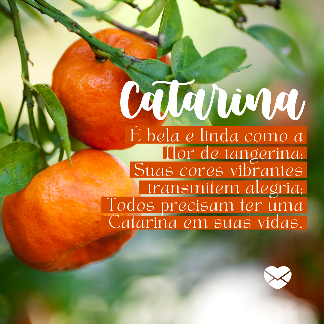 'Catarina,  É bela e linda como a flor de tangerina;
Suas cores vibrantes transmitem alegria;
Todos precisam ter uma Catarina em suas vidas.' - Significado do nome Catarina