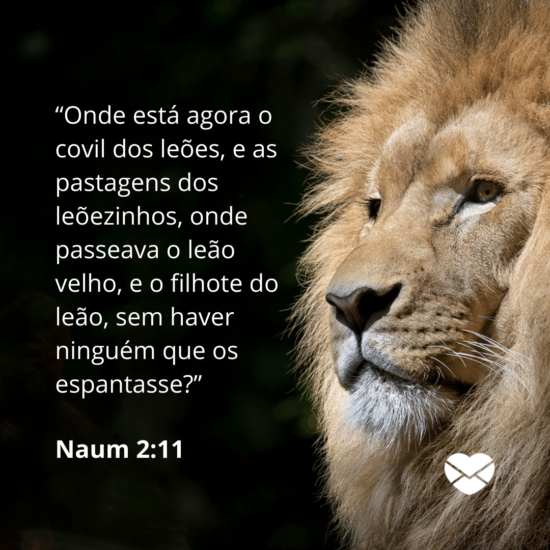 '“Onde está agora o covil dos leões, e as pastagens dos leõezinhos, onde passeava o leão velho, e o filhote do leão, sem haver ninguém que os espantasse?””  - Livro de Naum - Bíblia sagrada online