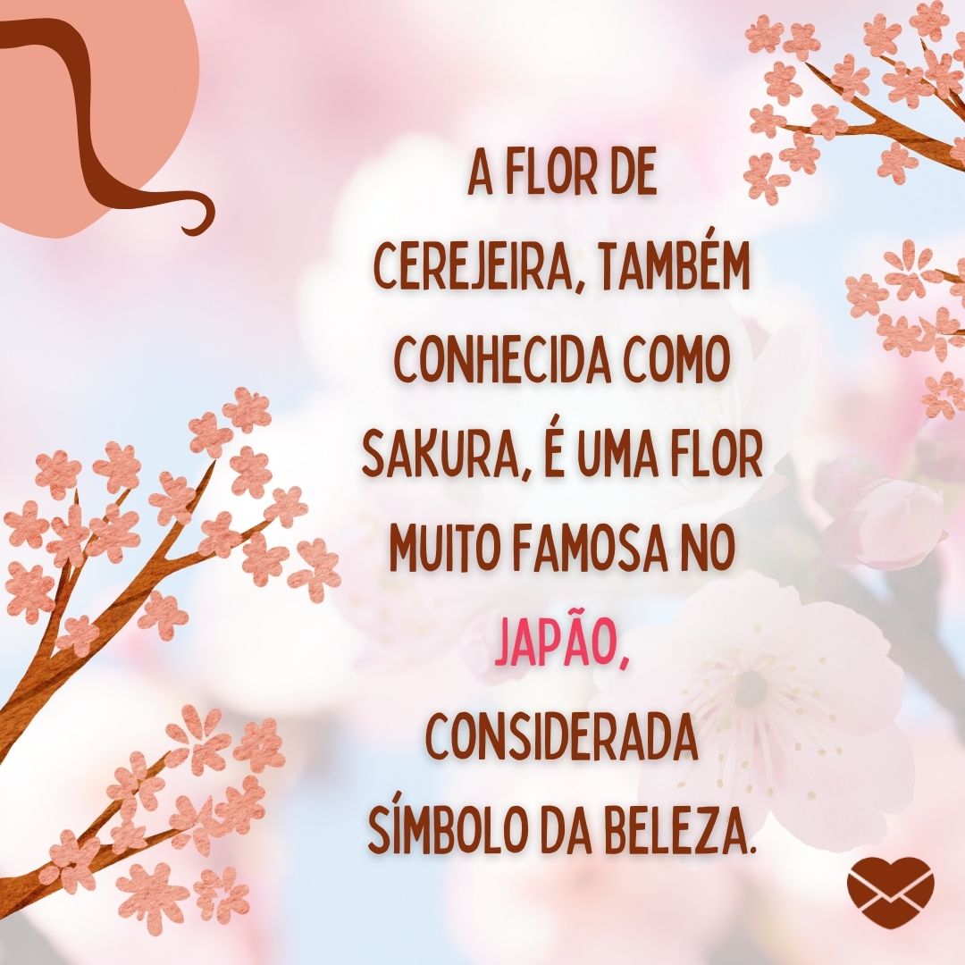 ''A flor de cerejeira, também conhecida como sakura, é uma flor muito famosa no Japão, considerada símbolo da beleza. '' -Imigração japonesa