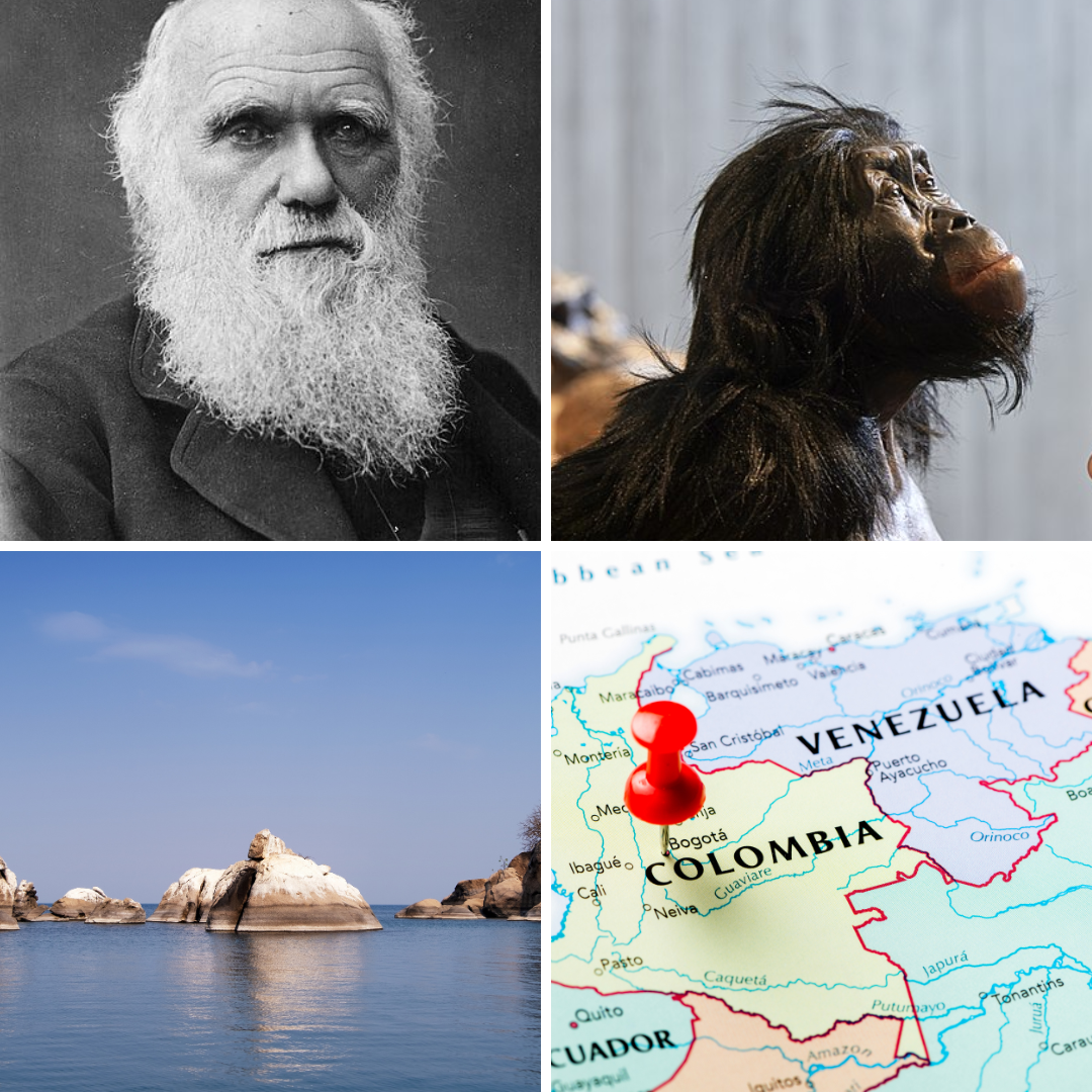 Darwin, Lucy, Lago Malawi e Colombia.