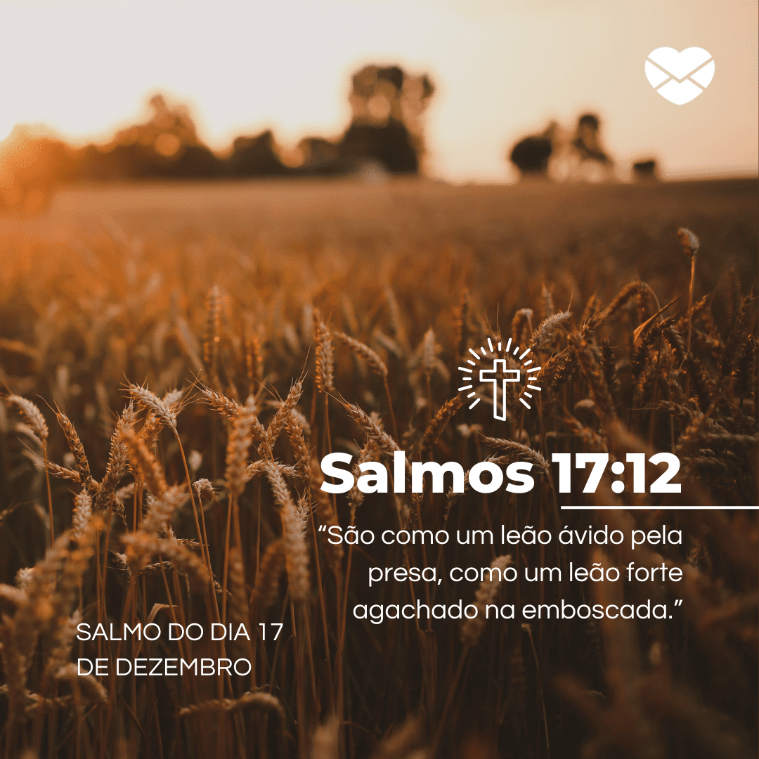 O que se comemora no dia 17 de dezembro?