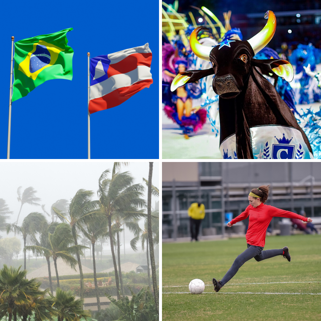 'Bahia, boi Caprichoso, ciclone e Copa do mundo de futebol feminino.'