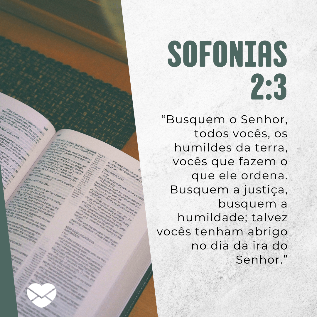 '“Busquem o Senhor, todos vocês, os humildes da terra, vocês que fazem o que ele ordena.Busquem a justiça, busquem a humildade; talvez vocês tenham abrigo no dia da ira do Senhor.”' - Livro de Sofonias - Bíblia sagrada online