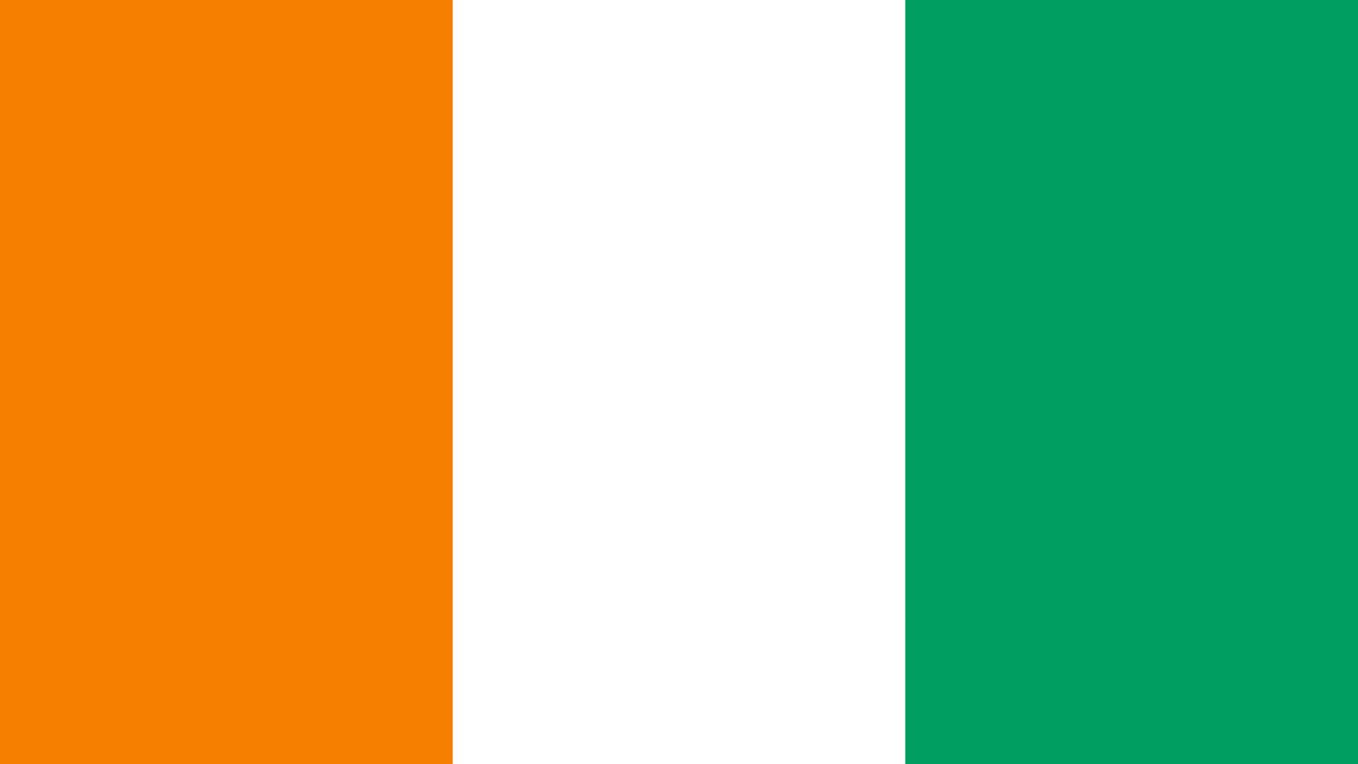 A bandeira é composta por três listas verticais iguais, nas cores: laranja, branco e verde. Assemelha-se à bandeira da Irlanda e da Itália.