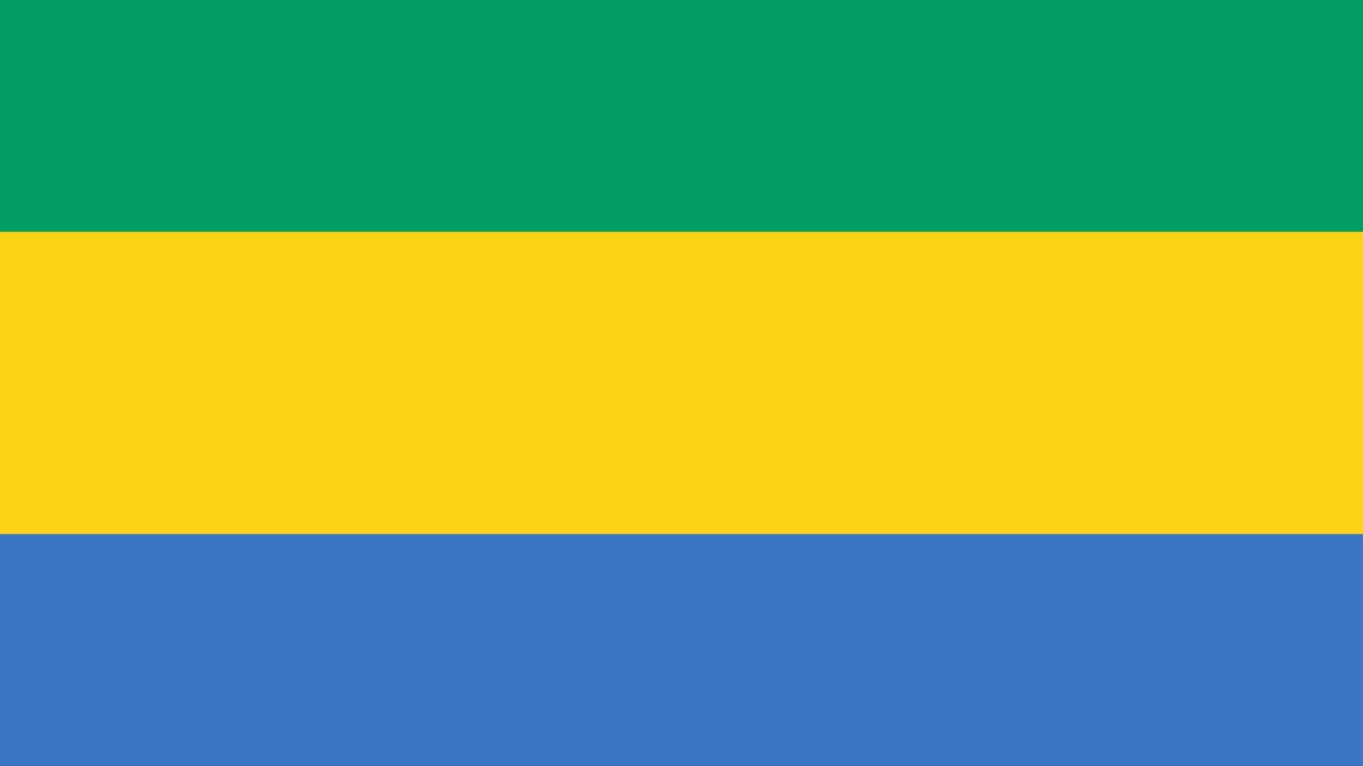 A bandeira é composta por três faixas horizontais simbolizando a floresta equatorial (verde), o sol (amarelo) e o mar (azul). Esta bandeira possui todas as cores da bandeira do Brasil, menos o branco.