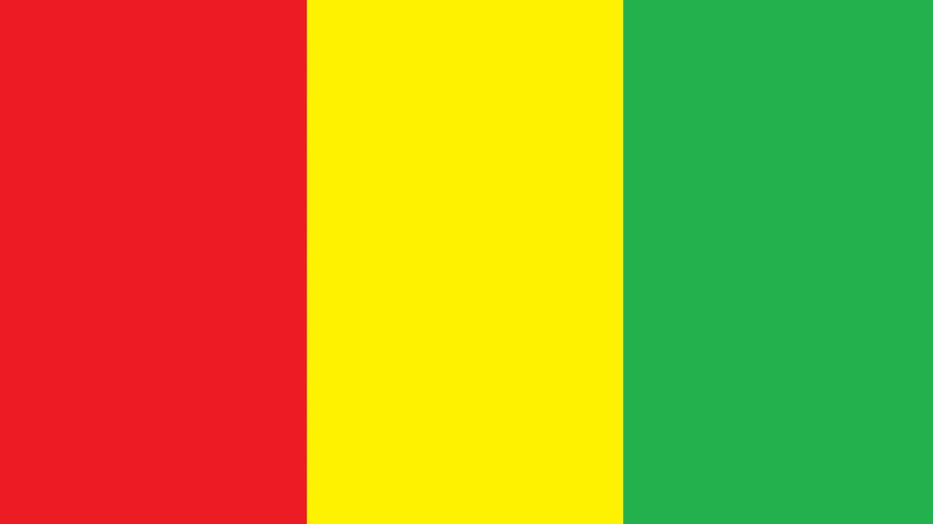 O desenho da bandeira consiste em um retângulo, dividido verticalmente em três faixas de larguras iguais, sendo a primeira a partir do mastro, vermelha, a segunda amarela e a terceira verde.